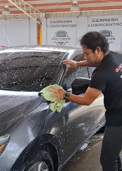 Lavado Profesional